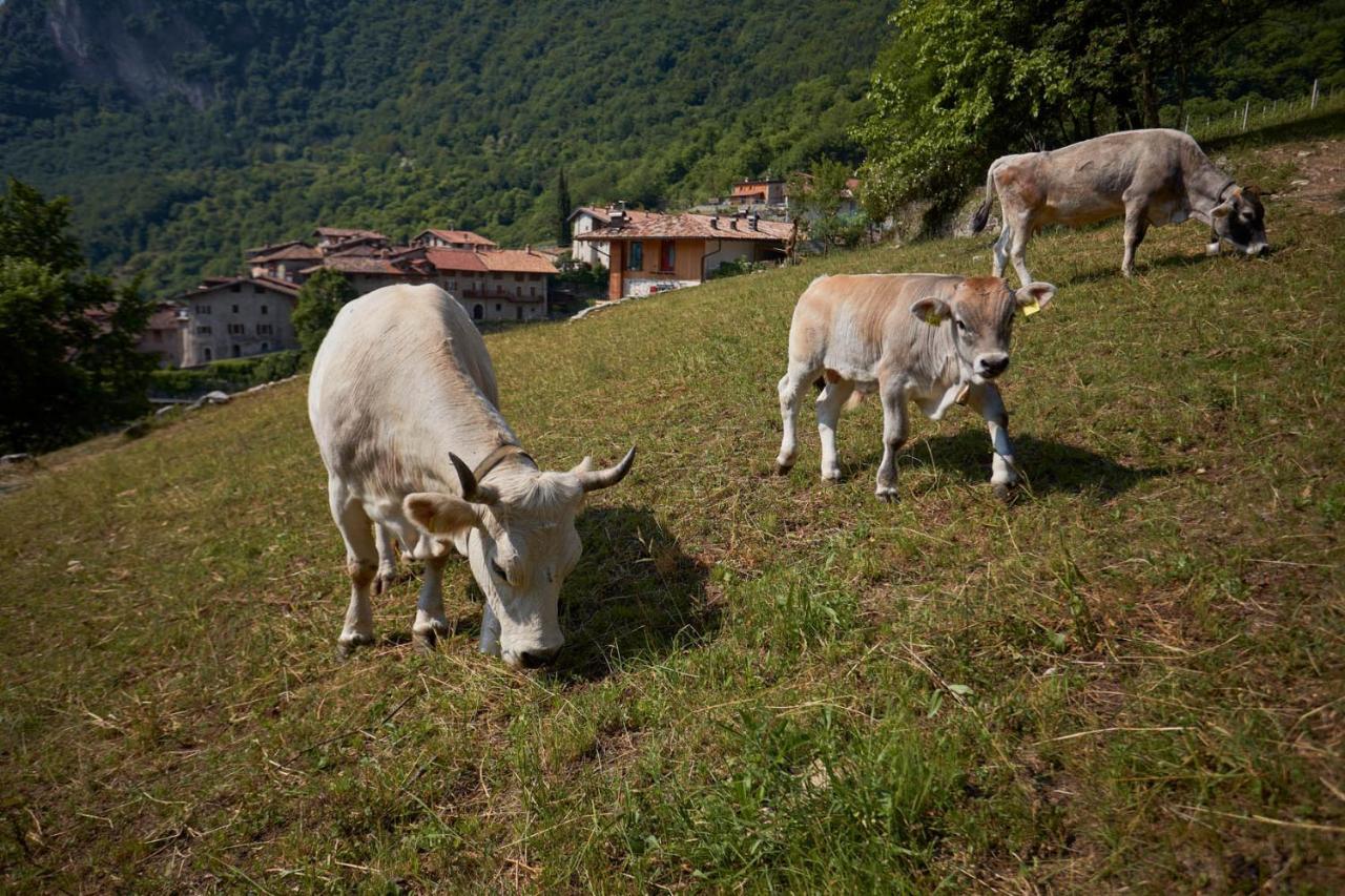 텐노 Le Terre Di Gu 빌라 외부 사진